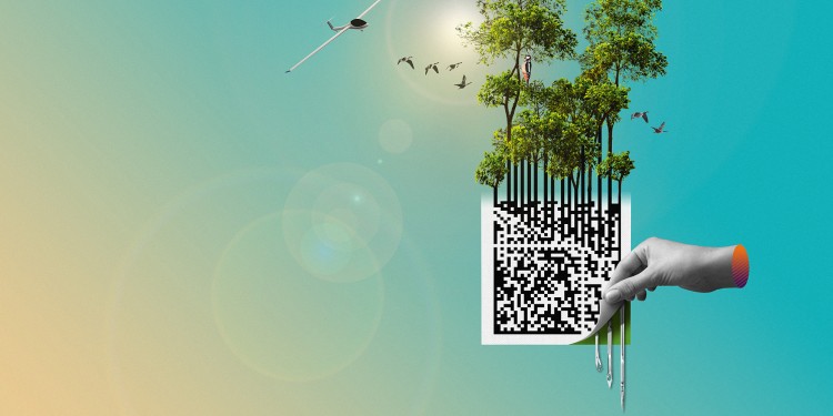 Sustainability
