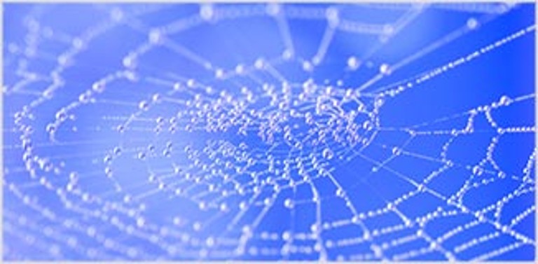 Synthetische Spinnenseide | Groz-Beckert KG