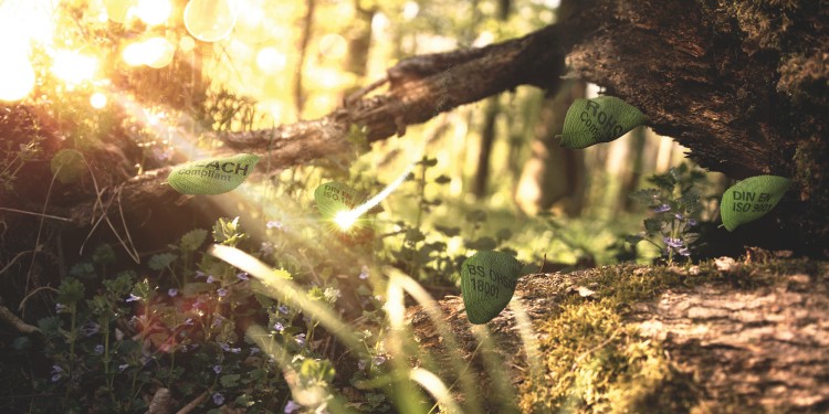 Werbebild Sustainability: Unberührte Natur
