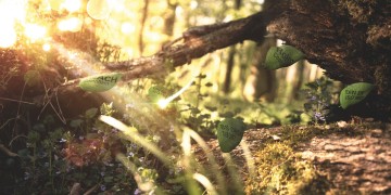 Werbebild Sustainability: Unberührte Natur