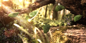 Werbebild Sustainability: Unberührte Natur